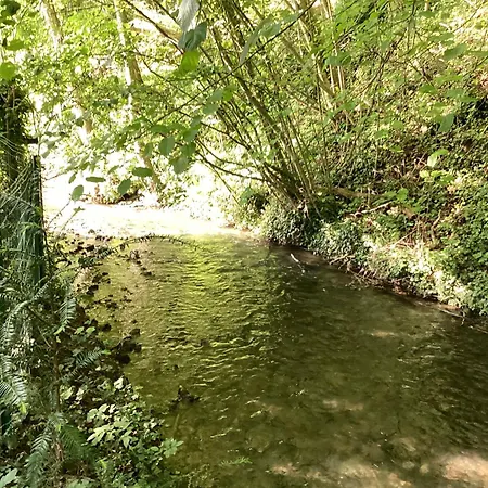 Maison Campagne Riviere Foret Le Brevedent Esterno foto