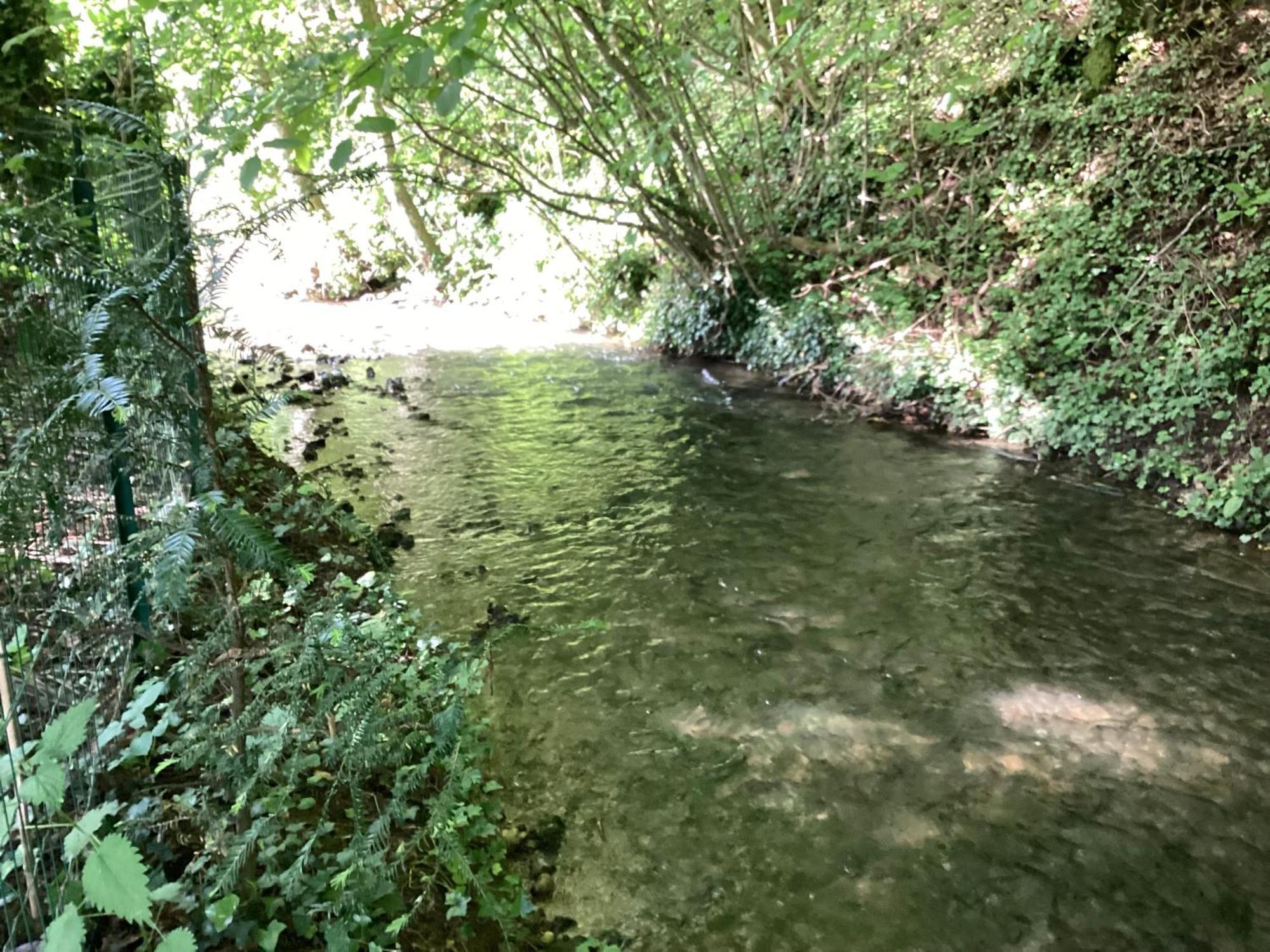 Maison Campagne Riviere Foret Holiday home Le Brevedent