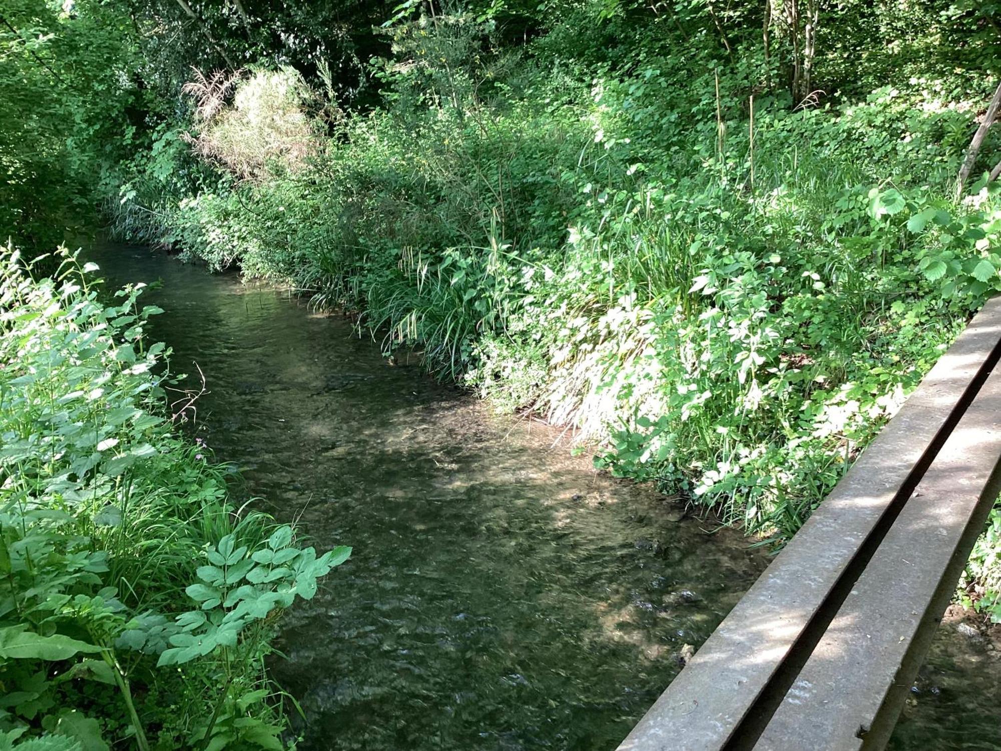 Maison Campagne Riviere Foret *