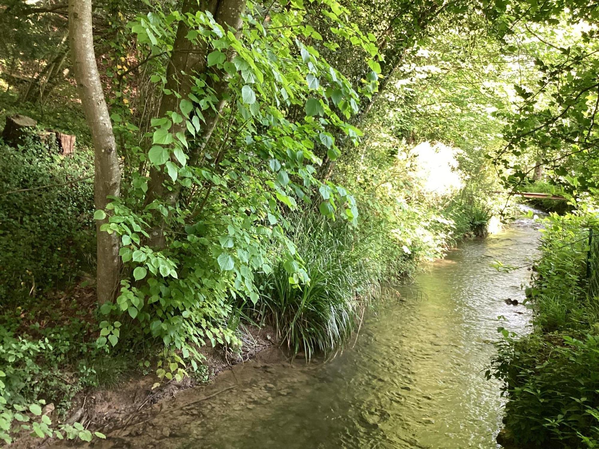 Maison Campagne Riviere Foret Vakantiehuis